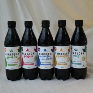 Комбуча Dalvita 500 мл